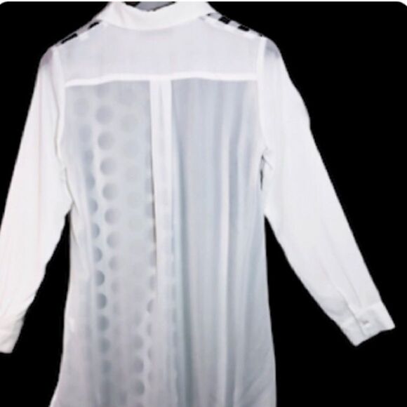 P• Luca Milano  - Picture 2 of 6